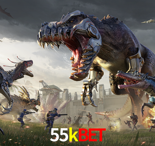 Experiência VIP 55kbet